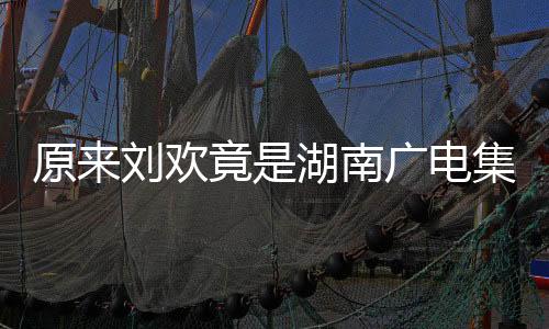 原來(lái)劉歡竟是湖南廣電集團(tuán)的一位家屬，深度探究其背后的故事