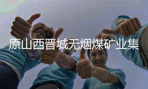原山西晉城無煙煤礦業(yè)集團有限責任公司黨委常委、副總經(jīng)理王保玉被查