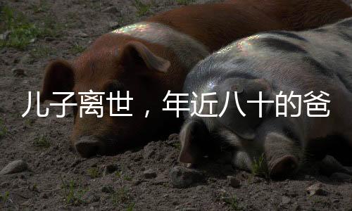 兒子離世，年近八十的爸爸堅(jiān)持給兒子擦車，無盡父愛，感動(dòng)人心