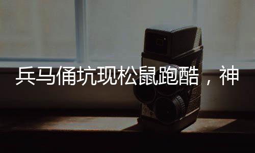兵馬俑坑現(xiàn)松鼠跑酷，神秘歷史遺址中的新發(fā)現(xiàn)
