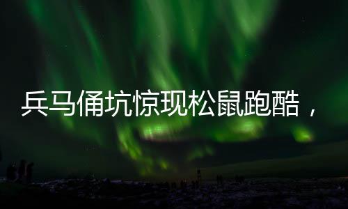 兵馬俑坑驚現(xiàn)松鼠跑酷，文化遺址出現(xiàn)意外生態(tài)景象