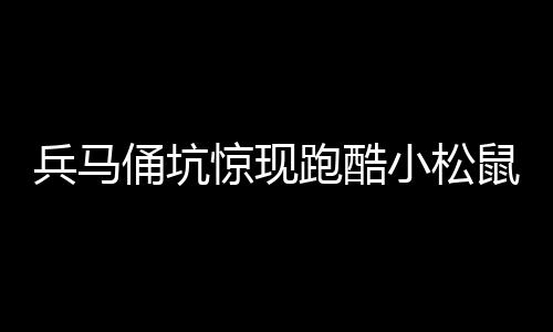 兵馬俑坑驚現(xiàn)跑酷小松鼠，歷史與自然交融的奇跡新聞