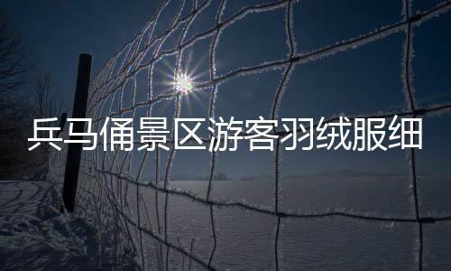 兵馬俑景區(qū)游客羽絨服細(xì)節(jié)觀察，寒冬中的暖心故事