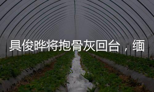 具俊曄將抱骨灰回臺(tái)，緬懷亡妻，跨越萬里的情感寄托