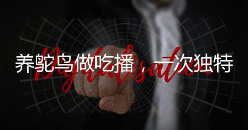養(yǎng)鴕鳥做吃播，一次獨(dú)特的探索之旅