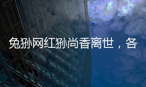 兔猻網(wǎng)紅猻尚香離世，各界緬懷與紀(jì)念動(dòng)物明星的生命旅程