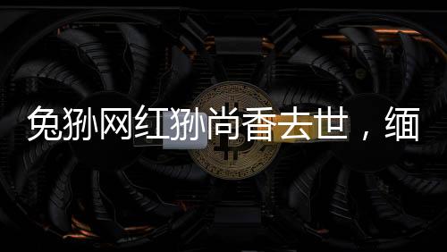 兔猻網(wǎng)紅猻尚香去世，緬懷一只傳奇的生靈