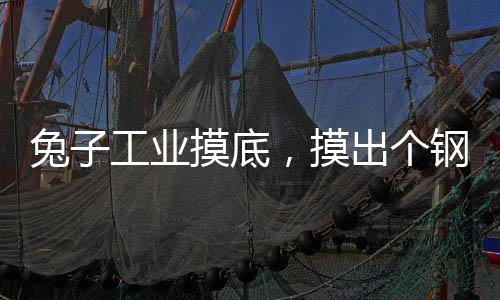 兔子工業(yè)摸底，摸出個(gè)鋼鐵俠？