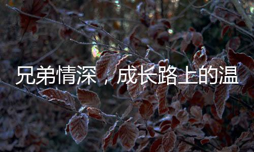 兄弟情深，成長路上的溫情故事——弟弟被姐姐們聯(lián)手制服的那些事