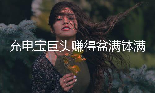 充電寶巨頭賺得盆滿缽滿，揭秘其成功背后的故事