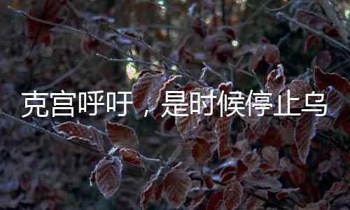 克宮呼吁，是時(shí)候停止烏克蘭沖突，尋求和平之路