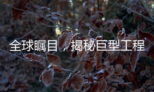 全球矚目，揭秘巨型工程背后的故事——這就是我兒子打造的世界級(jí)奇跡