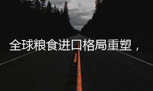 全球糧食進(jìn)口格局重塑，重心轉(zhuǎn)向南美，趨勢與挑戰(zhàn)分析