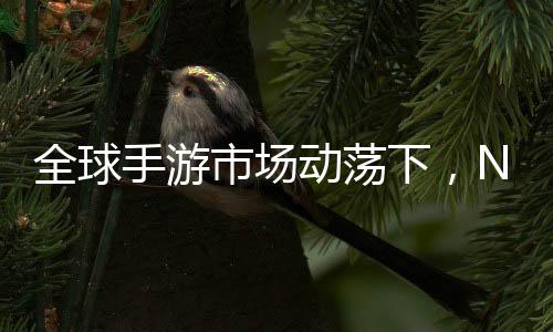 全球手游市場動(dòng)蕩下，NO.1手游公司自救成功的奇跡篇章