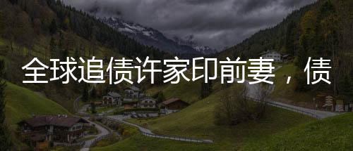 全球追債許家印前妻，債務(wù)糾紛背后的復(fù)雜故事