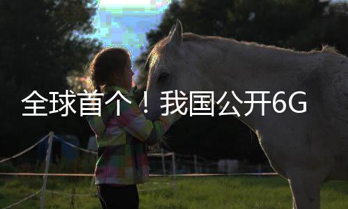 全球首個(gè)！我國(guó)公開6G通智感融合外場(chǎng)試驗(yàn)網(wǎng)