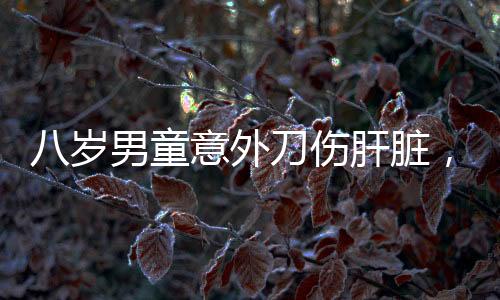 八歲男童意外刀傷肝臟，緊急手術(shù)成功挽救生命