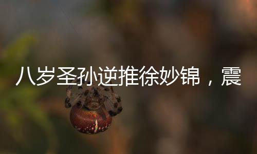 八歲圣孫逆推徐妙錦，震驚大明！
