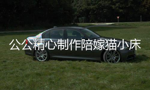 公公精心制作陪嫁貓小床，溫馨家居中的愛(ài)與關(guān)懷