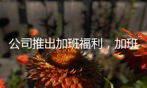 公司推出加班福利，加班十晚可繳納社會(huì)保險(xiǎn)個(gè)人部分，員工反響不一