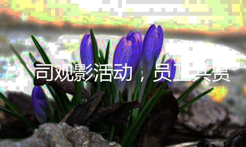 公司觀影活動(dòng)，員工共賞哪吒2，助力影片沖破百億大關(guān)