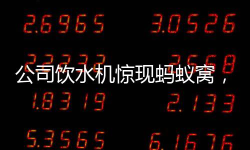 公司飲水機(jī)驚現(xiàn)螞蟻窩，衛(wèi)生狀況亟待改善