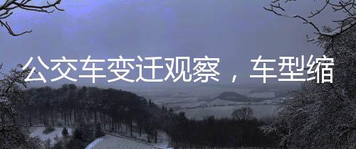 公交車變遷觀察，車型縮小背后的原因與影響分析