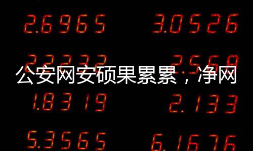 公安網(wǎng)安碩果累累，凈網(wǎng)2024行動(dòng)取得顯著成效
