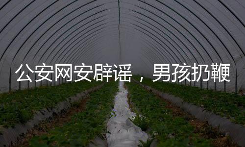 公安網(wǎng)安辟謠，男孩扔鞭炮賠580萬系謠言