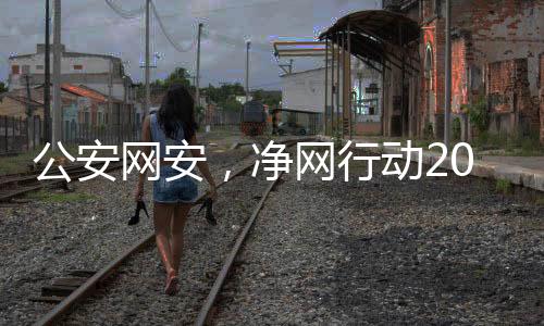 公安網(wǎng)安，凈網(wǎng)行動2024取得顯著成效，助力網(wǎng)絡(luò)空間安全建設(shè)新篇章