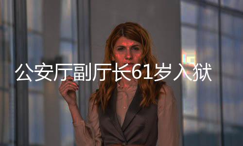 公安廳副廳長(zhǎng)61歲入獄記，一場(chǎng)自我救贖與社會(huì)警示的雙重演繹