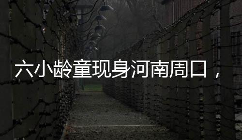 六小齡童現(xiàn)身河南周口，傳統(tǒng)文化藝術活動引人矚目
