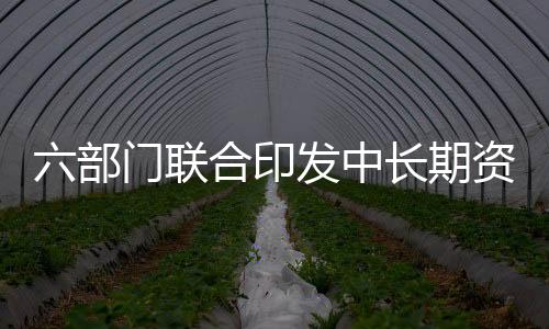 六部門聯(lián)合印發(fā)中長期資金入市方案，資本市場迎新機遇