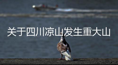 關(guān)于四川涼山發(fā)生重大山體滑坡不實信息的澄清