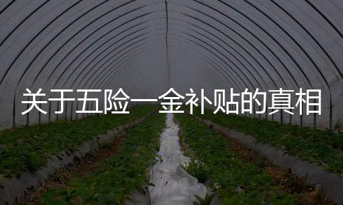 關(guān)于五險一金補(bǔ)貼的真相揭秘——警惕虛假宣傳