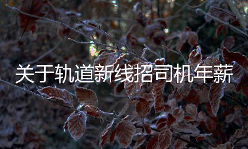 關(guān)于軌道新線招司機(jī)年薪8-10萬的辟謠文章