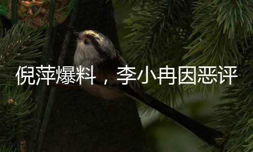 倪萍爆料，李小冉因惡評(píng)壓力退出繁花群——輿論風(fēng)波下的明星困境