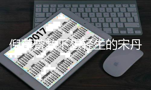 倪萍曾救下想輕生的宋丹丹，一段感人至深的友情故事