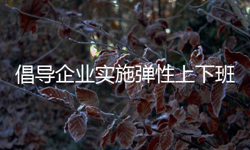 倡導企業(yè)實施彈性上下班制度，提升員工工作與生活的平衡性