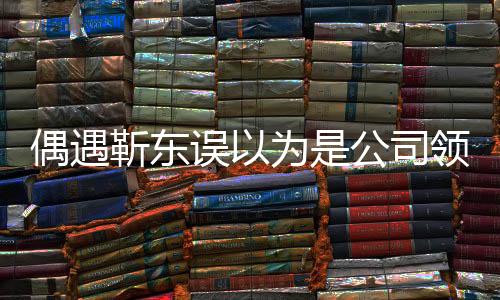 偶遇靳東誤以為是公司領導，揭開背后的故事
