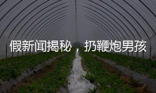 假新聞揭秘，扔鞭炮男孩家屬追責(zé)九部門事件真相