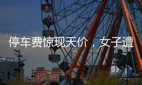 停車(chē)費(fèi)驚現(xiàn)天價(jià)，女子遭遇天價(jià)停車(chē)費(fèi)事件揭秘