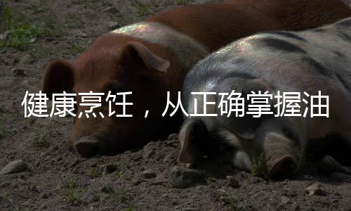 健康烹飪，從正確掌握油溫開始——?jiǎng)e等油冒煙了再炒菜
