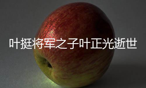 葉挺將軍之子葉正光逝世，一代英才的離去