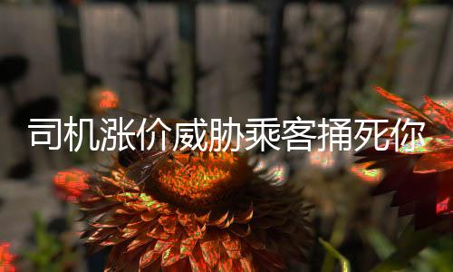 司機漲價威脅乘客捅死你，暴力行為引發(fā)社會關(guān)注被警方抓獲