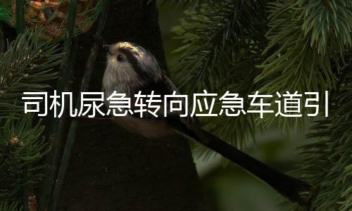 司機(jī)尿急轉(zhuǎn)向應(yīng)急車道引發(fā)事故，規(guī)則意識(shí)需強(qiáng)化