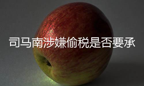 司馬南涉嫌偷稅是否要承擔(dān)刑事責(zé)任？深入解讀相關(guān)議題