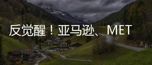 反覺醒！亞馬遜、META等大公司開始拋棄DEI