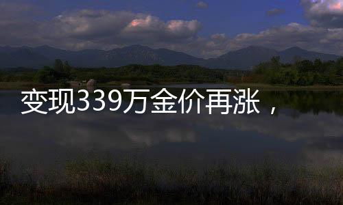 變現(xiàn)339萬(wàn)金價(jià)再漲，市場(chǎng)走勢(shì)分析與未來(lái)展望