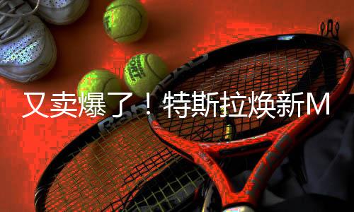 又賣爆了！特斯拉煥新Model Y上市 起價26.3萬元